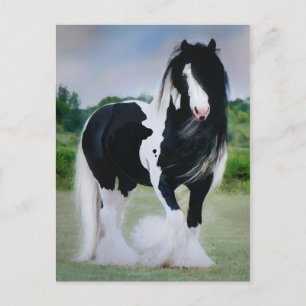 "Tessa" Postcard