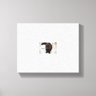 test canvas print