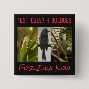 Test Culex & Bulbuls Button by RoseWrites