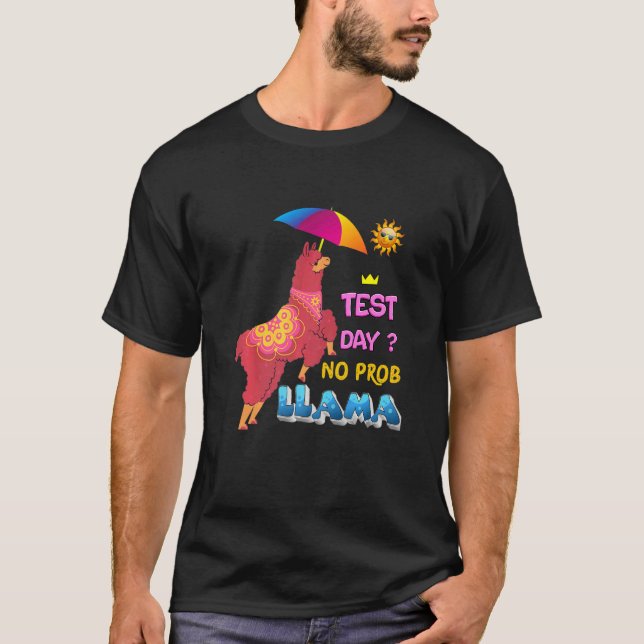 Test Day Llama Teacher Exam T-Shirt (Front)