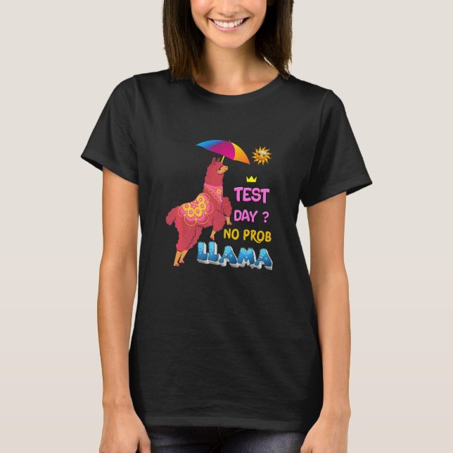 Test Day Llama Teacher Exam T-Shirt (Front)