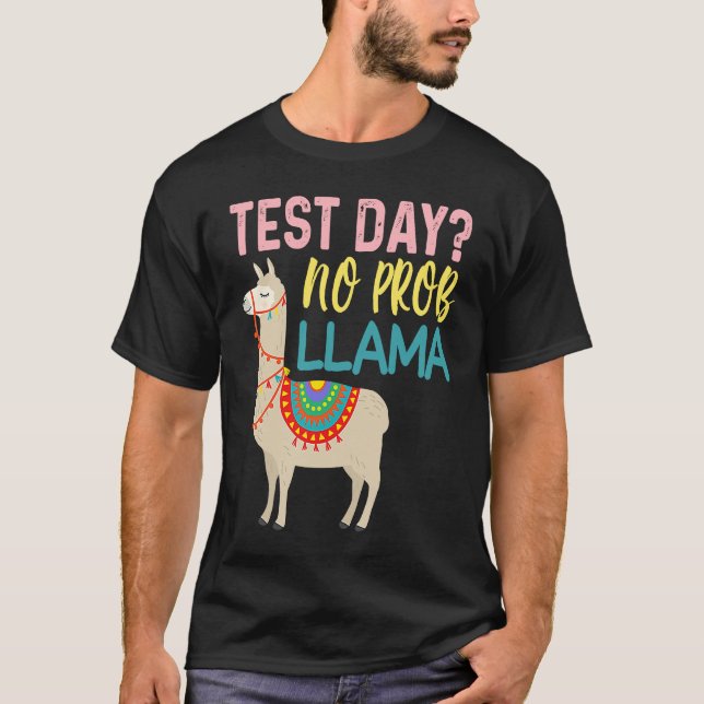 Test Day Llama Teacher Exam Testing Teaching T-Shirt (Front)