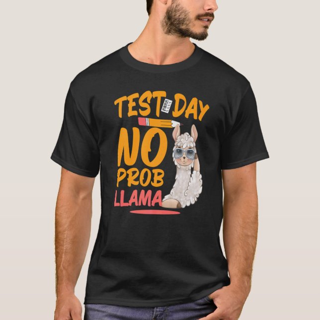 Test Day No Prob Llama Llama Teacher & Student Tes T-Shirt (Front)