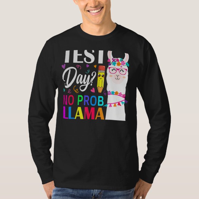 Test Day No Prob Llama Llama Teacher Testing Day 3 T-Shirt (Front)