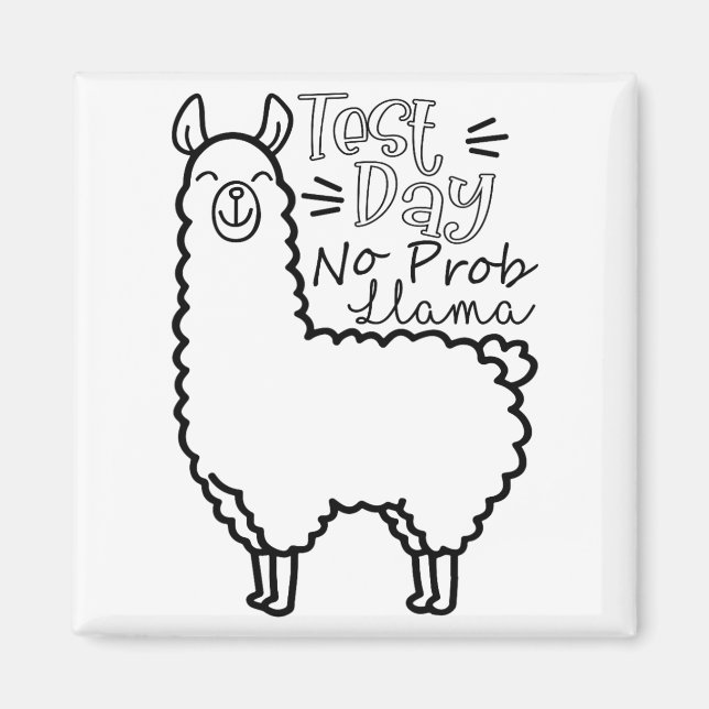 Test Day No Prob-llama Llama Teacher Testing Day  Magnet (Front)