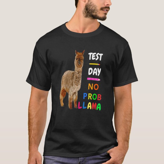 Test Day No Prob Llama Llama Teacher Testing Day   T-Shirt (Front)