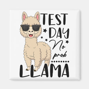 Test Day No Prob Llama Teacher Student Exam Test D Magnet