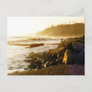 Test Post Card