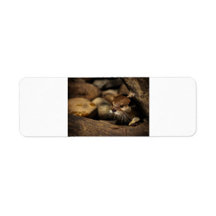 test return address label