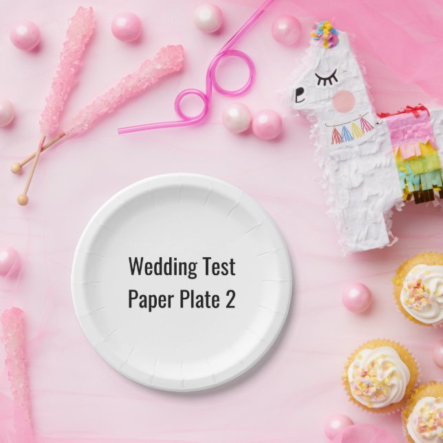 test update description 8/2/2024 paper plate (Party)