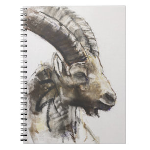 Testa 2005 notebook