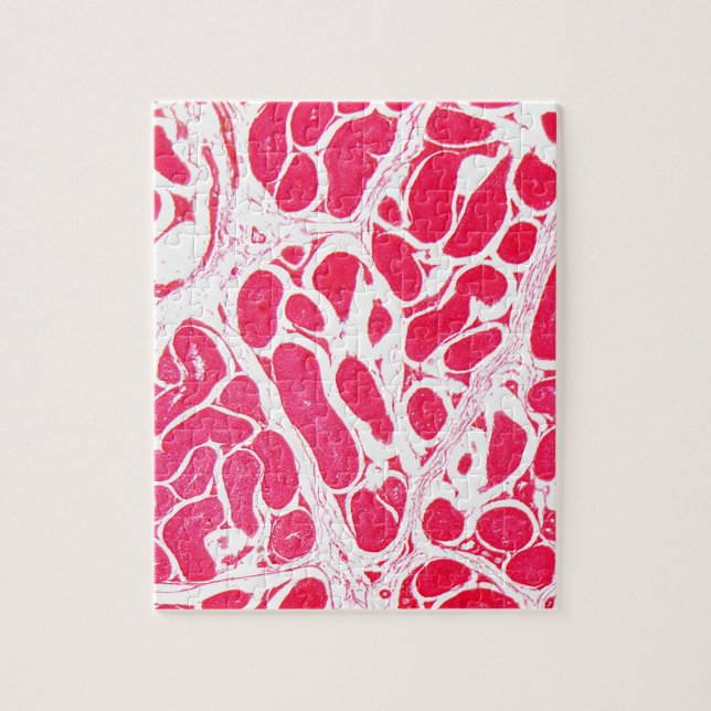 Testicle Cells under the Microscope Jigsaw Puzzle (Vertical)