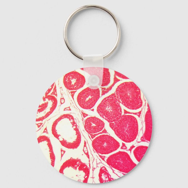 Testicle Cells under the Microscope Key Ring (Front)