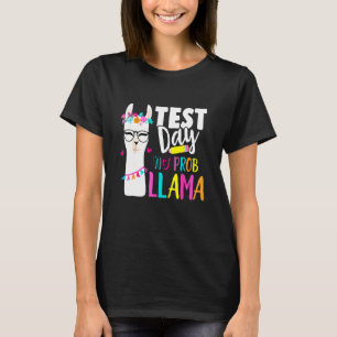 Testing Test Day No Prob Llama Teacher Professor J T-Shirt