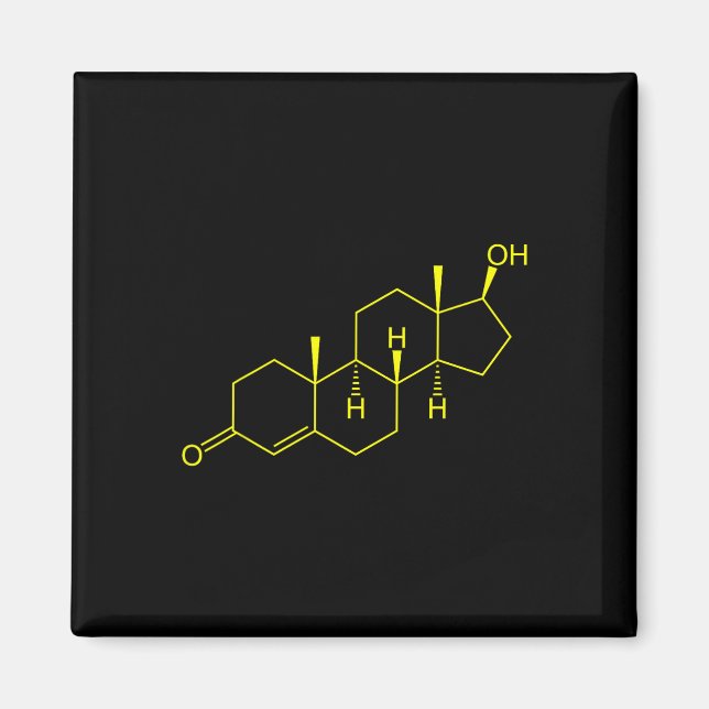 Testosterone Molecule Biology Science Bodybuilding Magnet (Front)