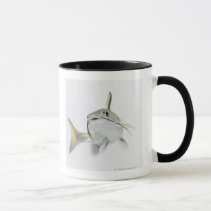 Tete sea catfish (Hexanematichthys seemanni) 2 Mug