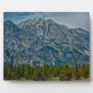Teton NP 6901 Plaque