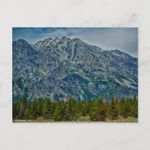 Teton NP 6901 Postcard