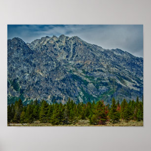 Teton NP 6901 Poster