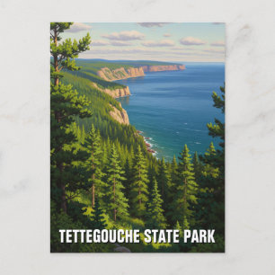 Tettegouche State Park Minnesota Travel Postcard