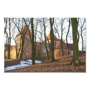 Teutonic Order castle Neidenburg - Photo Print