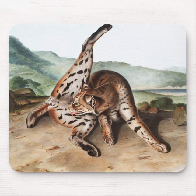 Texan Lynx Cleaning Body Camping Deco Gifts Mouse Pad (Front)