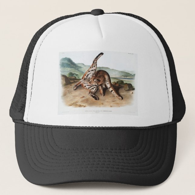 Texan Lynx Cleaning Body Camping Deco Gifts Trucker Hat (Front)