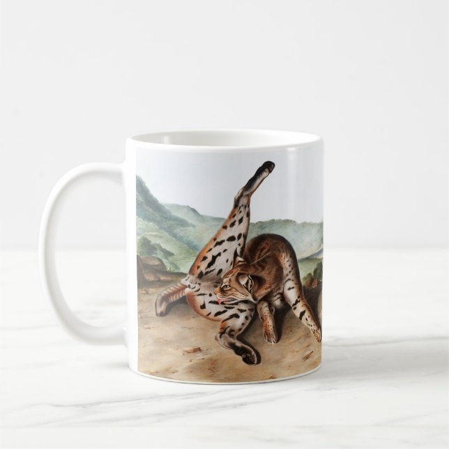 Texan Lynx (Lynx rufus var maculatus) Illustration Coffee Mug (Left)