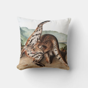 Texan Lynx (Lynx rufus var maculatus) Illustration Cushion