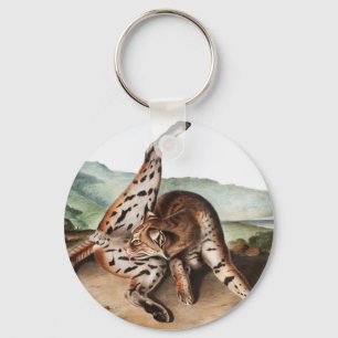 Texan Lynx (Lynx rufus var maculatus) Illustration Key Ring