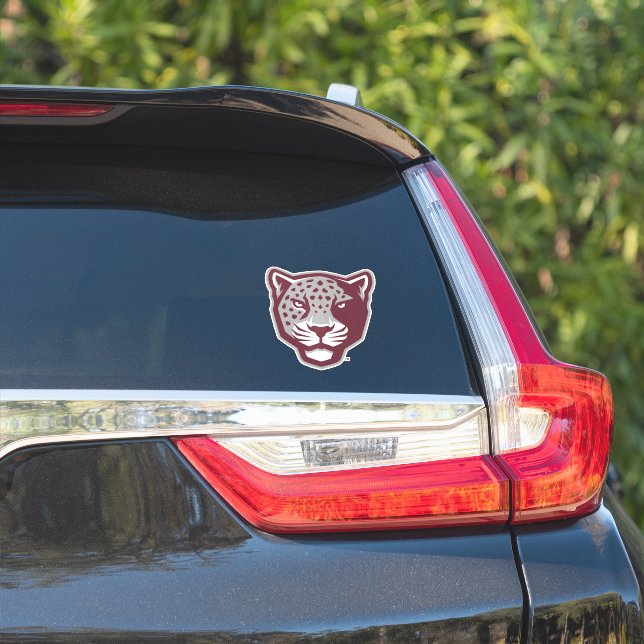 Texas A&M University-San Antonio | Jaguars (Car Side)