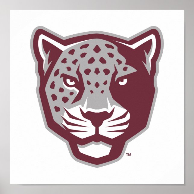 Texas A&M University-San Antonio | Jaguars Poster (Front)
