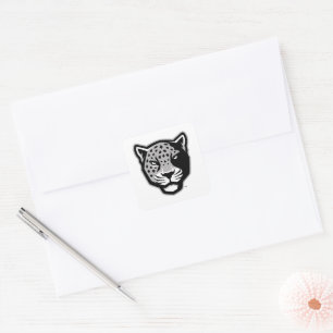 Texas A&M University-San Antonio   Jaguars Square Sticker