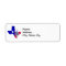 Texas and Bluebonnets