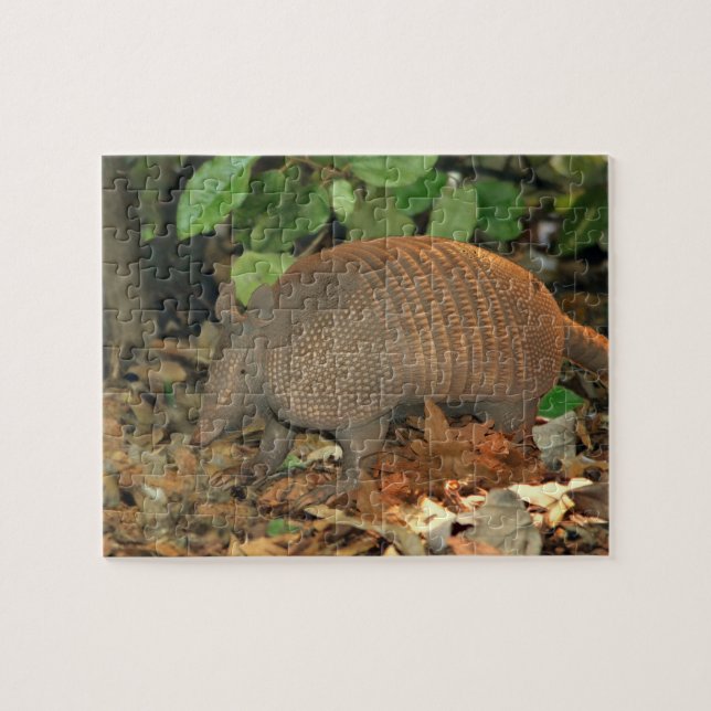 Texas Armadillo Jigsaw Puzzle (Horizontal)