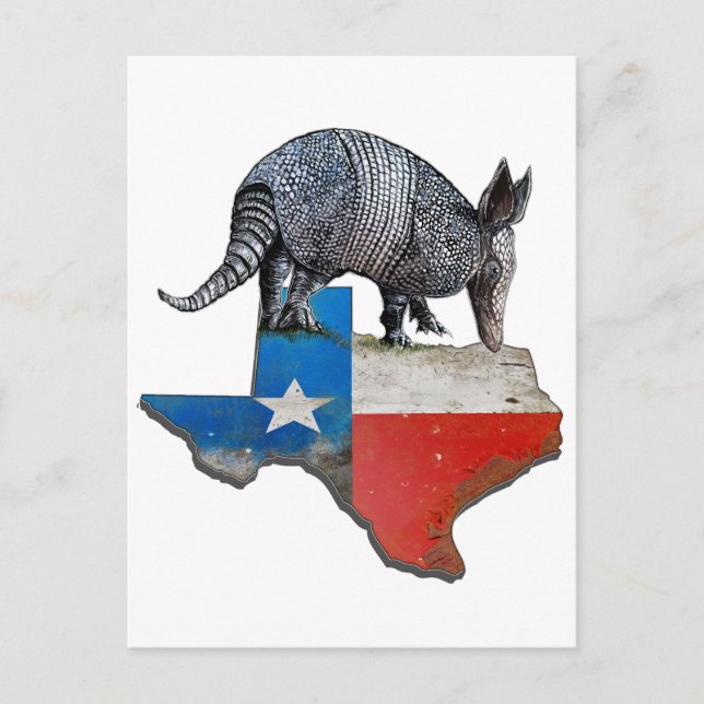 Texas Armadillo Postcard (Front)
