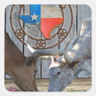 Texas Barn Art Square Sticker