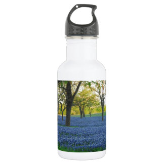 Texas Blue Bonnets 532 Ml Water Bottle