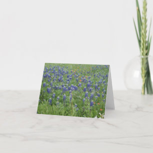 Texas Blue Bonnets Note Cards