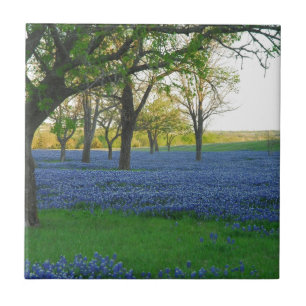 Texas Blue Bonnets Tile