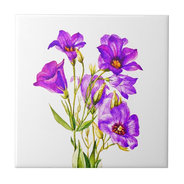 Texas Bluebells Eustoma Russellianum Watercolor Ceramic Tile (Front)