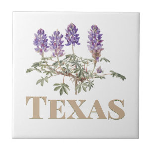 Texas Bluebonnet 2 Ceramic Tile