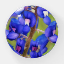 Texas Bluebonnet Blue Flower Paperweight