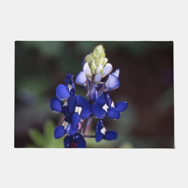 Texas Bluebonnet Door Mat (Front)