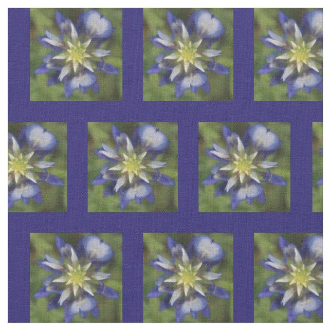 Texas Bluebonnet Fabric (Close Up)