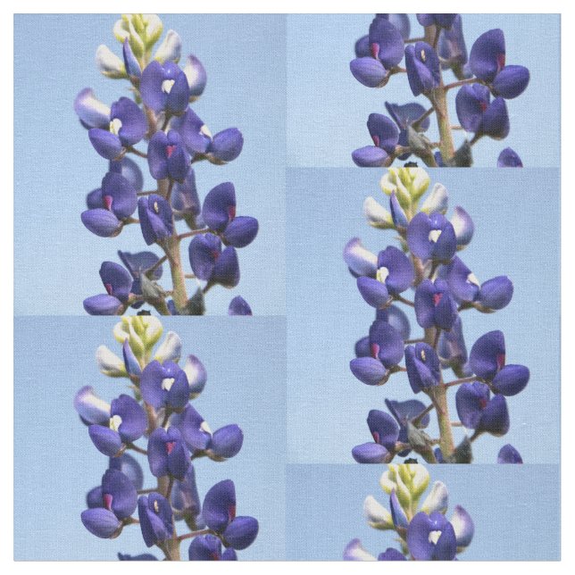 Texas Bluebonnet Fabric (Close Up)