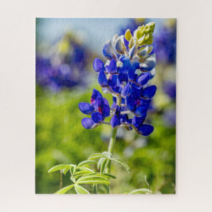 Texas Bluebonnet Flower Jigsaw Puzzle