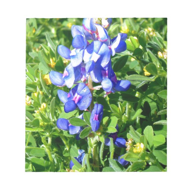 TEXAS BlueBonnet Notepad (Front)