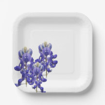 Texas Bluebonnet Paper Plate