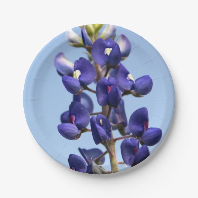 Texas Bluebonnet Paper Plates (Front)